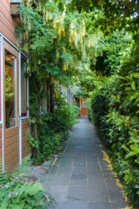 tuin