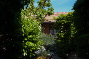 tuin