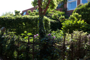 tuin