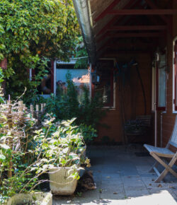 tuin